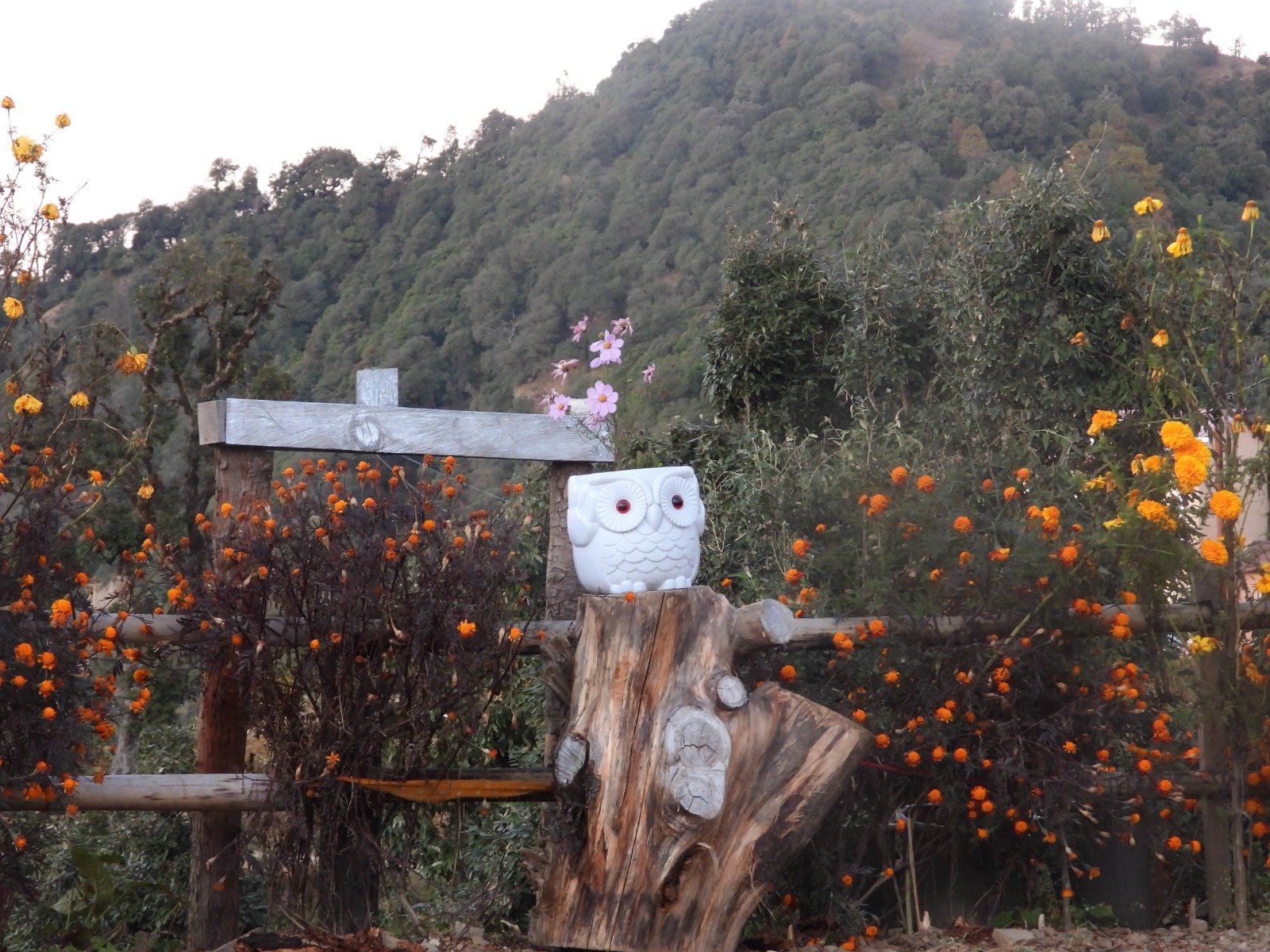 Aranya Stays - Nature Retreat